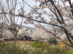-品渔味湖鲜馆(拈花湾店)