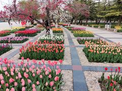 -石家庄市植物园