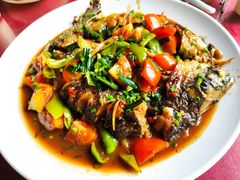 遇龙河剑骨鱼—阳朔特色啤酒鱼-生态苑农庄(十里画廊遇龙河店)