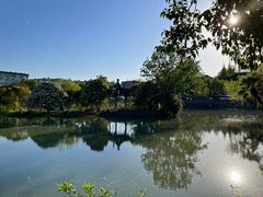 -扬州大运河文化旅游度假区·盆景园