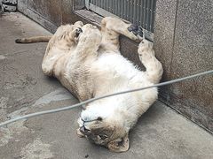 -西安秦岭野生动物园