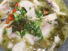 -汤去三面(骆驼店)