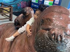 -蓬莱欧乐堡海洋极地世界