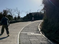 -长沙黑麋峰国家森林公园