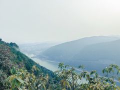 -铁山坪森林公园