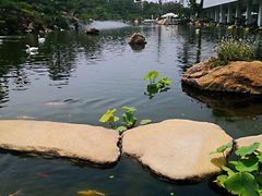 -罗红摄影艺术馆