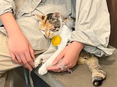 -Again Coffee Roaster(香蜜湖店)