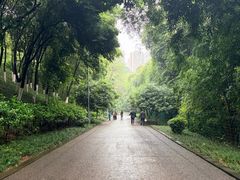 -重庆彩云湖湿地公园