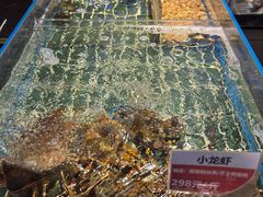 -码头见·潮汕菜(领展中心城店)