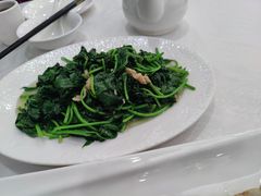 生炒番薯叶-金华安大酒楼·老牌潮菜·粤式茶点(东方国际店)