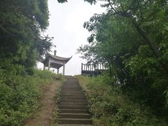 -岣嵝峰国家森林公园