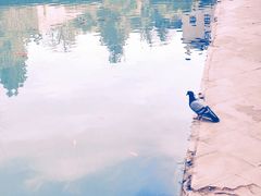 -阿尔罕布拉宫