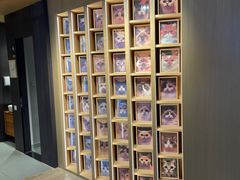 -CAT’S MEWSTAR CAFE·喵星球猫屋(晴湾咖啡店)
