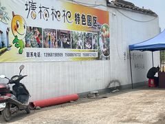 -塘栖枇杷特色园区