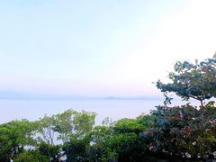 -深圳湾公园(南山区)
