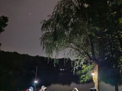 -紫霞湖公园