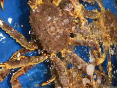 -海景壹号大酒店(惠钱路店)