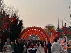 -曹州牡丹园