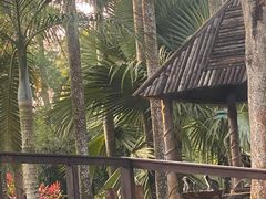 -海南热带野生动植物园