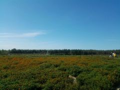 -北纬44度·金珠花海休闲农业旅游景区