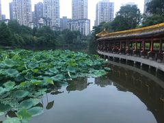 -龙头寺公园