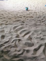 点击看大图 -恐龙探索乐园(磁器口店)