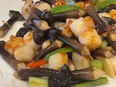 鸡枞菌鲜贝-天福苑(崇宁路店)