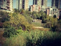 -黔蘑菇四季餐厅(观山湖店)