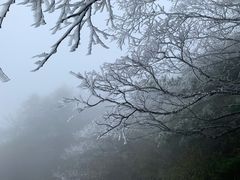 -牛背梁国家森林公园