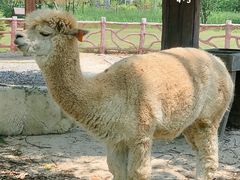 -昆山城市生态森林公园