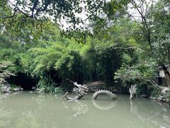 -汇龙潭