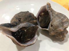 海螺-蚝专家(北滘店)