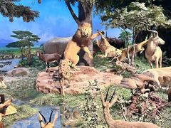 -国家自然博物馆