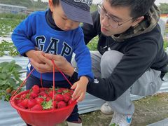 -惠州金海湾嘉华度假酒店