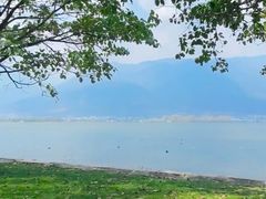 -大理洱海