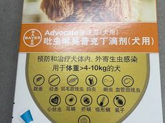 -爱侣宠医·鹦鹉专科·小型哺乳类·异宠专科(灵石路店)