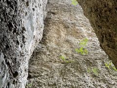 -窦圌山风景区