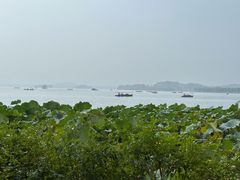 -湖畔居茶楼(湖滨店)