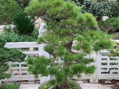 -南京东郊国宾馆