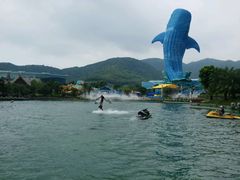 -珠海横琴长隆《卡卡虎奇遇记》