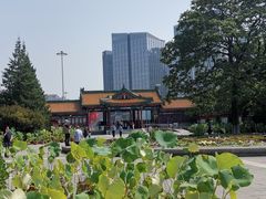 -莲花池公园
