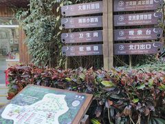 -野象谷景区