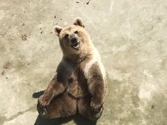 -哈尔滨北方森林动物园