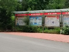 -黄椅山火山森林公园