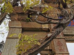 -泰山风景名胜区