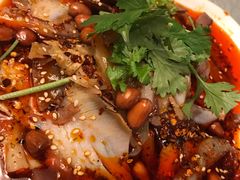 -陈麻婆豆腐总店