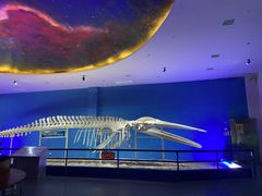 -福州罗源湾海洋世界旅游区