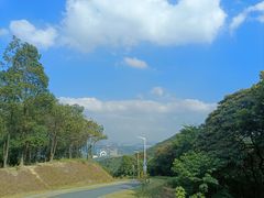 -黄埔油麻山森林公园