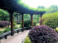 -上海国丰酒店
