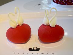 -BLACKSWAN黑天鹅(环球店)
